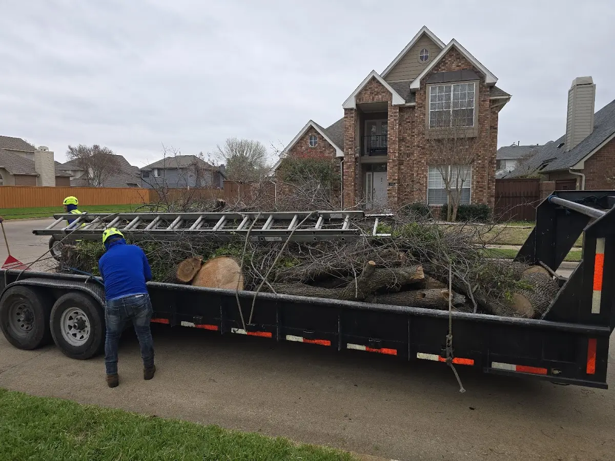 Expert Tree Pest Control with proper safety equipment in Rowley